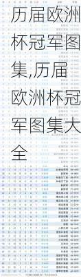 历届欧洲杯冠军图集,历届欧洲杯冠军图集大全