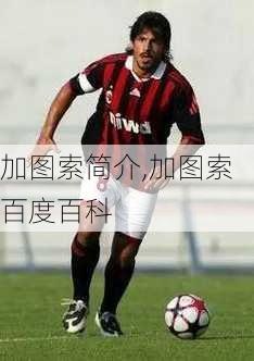 加图索简介,加图索百度百科