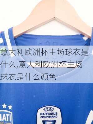 意大利欧洲杯主场球衣是什么,意大利欧洲杯主场球衣是什么颜色