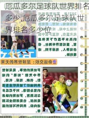 厄瓜多尔足球队世界排名多少,厄瓜多尔足球队世界排名多少位