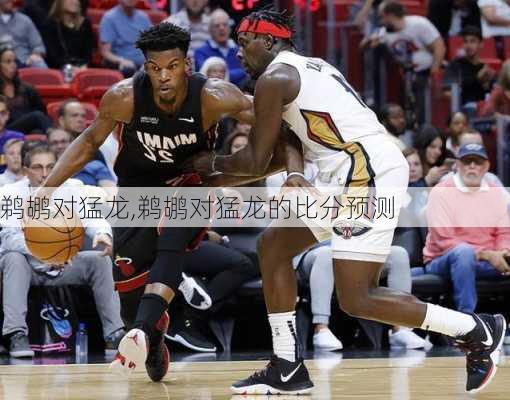 鹈鹕对猛龙,鹈鹕对猛龙的比分预测