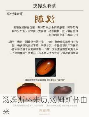 汤姆斯杯来历,汤姆斯杯由来