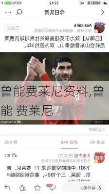 鲁能费莱尼资料,鲁能 费莱尼