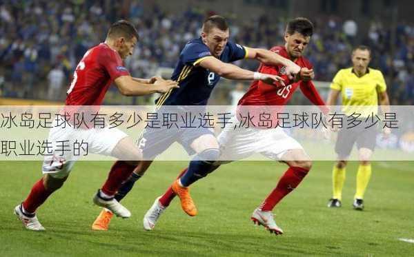 冰岛足球队有多少是职业选手,冰岛足球队有多少是职业选手的