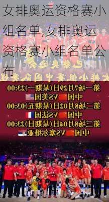女排奥运资格赛小组名单,女排奥运资格赛小组名单公布