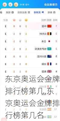 东京奥运会金牌排行榜第几,东京奥运会金牌排行榜第几名