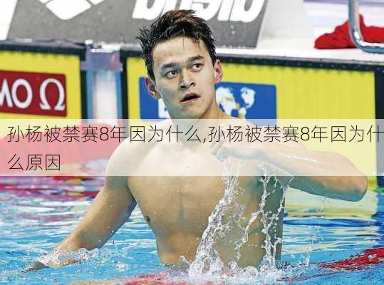 孙杨被禁赛8年因为什么,孙杨被禁赛8年因为什么原因