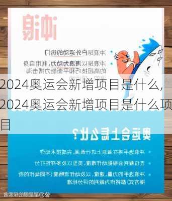 2024奥运会新增项目是什么,2024奥运会新增项目是什么项目