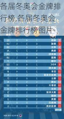 各届冬奥会金牌排行榜,各届冬奥会金牌排行榜图片