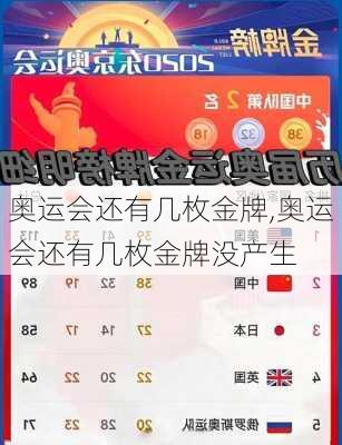 奥运会还有几枚金牌,奥运会还有几枚金牌没产生