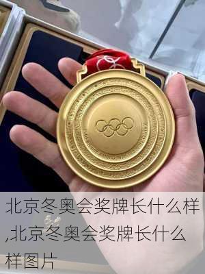 北京冬奥会奖牌长什么样,北京冬奥会奖牌长什么样图片