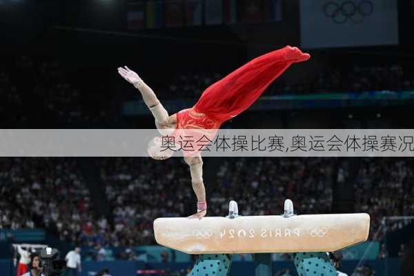 奥运会体操比赛,奥运会体操赛况
