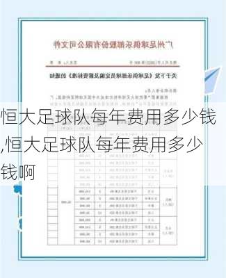恒大足球队每年费用多少钱,恒大足球队每年费用多少钱啊