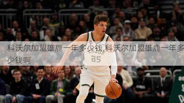 科沃尔加盟雄鹿一年多少钱,科沃尔加盟雄鹿一年多少钱啊