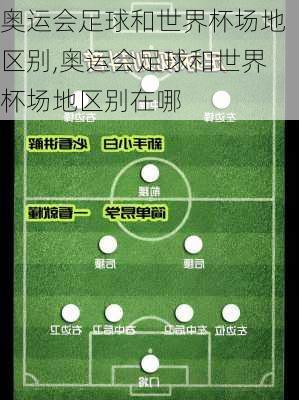 奥运会足球和世界杯场地区别,奥运会足球和世界杯场地区别在哪