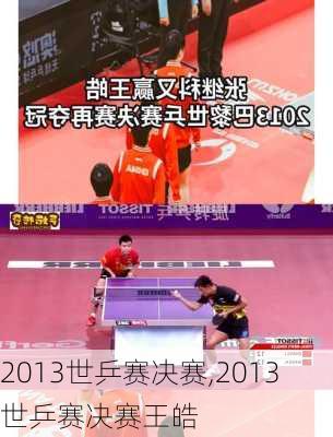 2013世乒赛决赛,2013世乒赛决赛王皓
