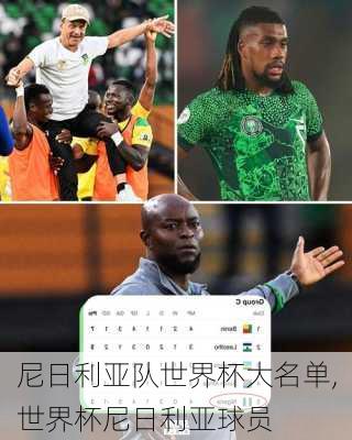尼日利亚队世界杯大名单,世界杯尼日利亚球员