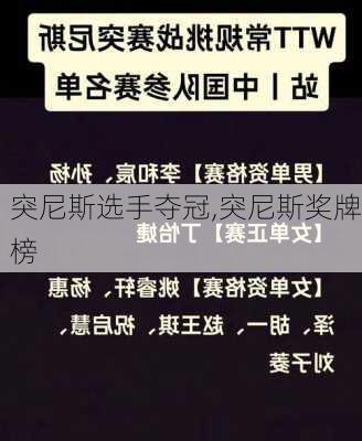 突尼斯选手夺冠,突尼斯奖牌榜