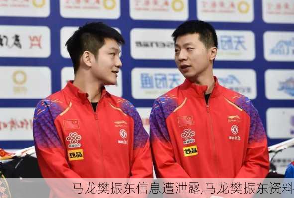 马龙樊振东信息遭泄露,马龙樊振东资料