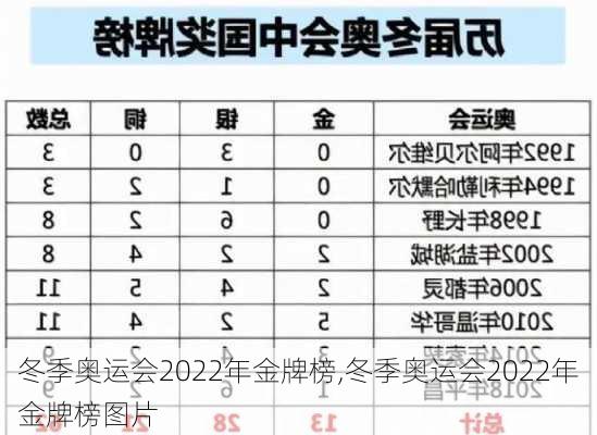 冬季奥运会2022年金牌榜,冬季奥运会2022年金牌榜图片