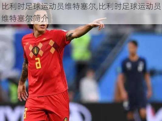 比利时足球运动员维特塞尔,比利时足球运动员维特塞尔简介