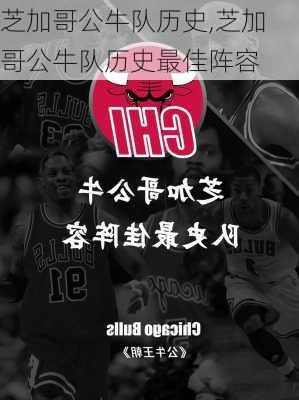 芝加哥公牛队历史,芝加哥公牛队历史最佳阵容