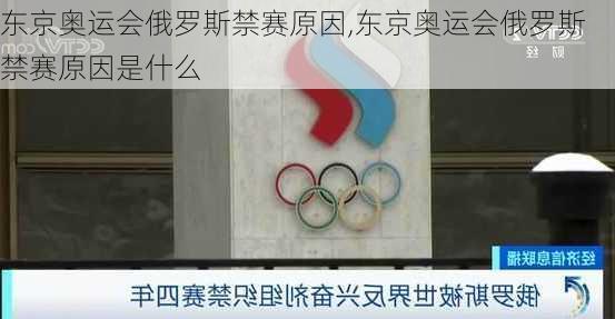 东京奥运会俄罗斯禁赛原因,东京奥运会俄罗斯禁赛原因是什么