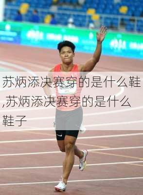 苏炳添决赛穿的是什么鞋,苏炳添决赛穿的是什么鞋子