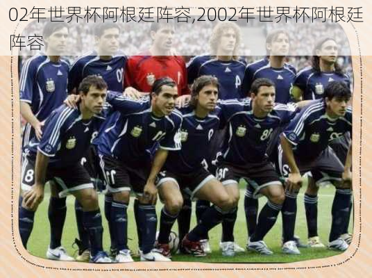 02年世界杯阿根廷阵容,2002年世界杯阿根廷阵容