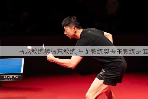 马龙教练樊振东教练,马龙教练樊振东教练是谁
