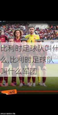 比利时足球队叫什么,比利时足球队叫什么军团
