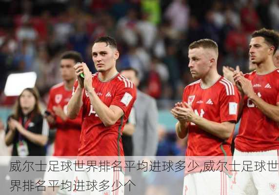 威尔士足球世界排名平均进球多少,威尔士足球世界排名平均进球多少个