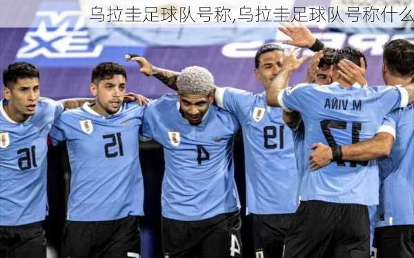 乌拉圭足球队号称,乌拉圭足球队号称什么