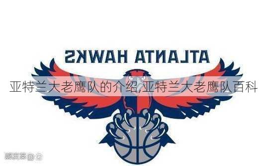 亚特兰大老鹰队的介绍,亚特兰大老鹰队百科