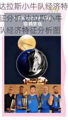达拉斯小牛队经济特征分析,达拉斯小牛队经济特征分析图