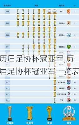 历届足协杯冠亚军,历届足协杯冠亚军一览表