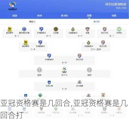 亚冠资格赛是几回合,亚冠资格赛是几回合打