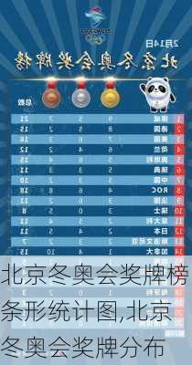 北京冬奥会奖牌榜条形统计图,北京冬奥会奖牌分布