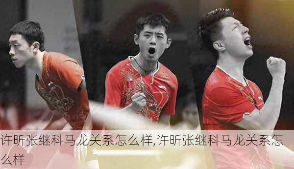 许昕张继科马龙关系怎么样,许昕张继科马龙关系怎么样