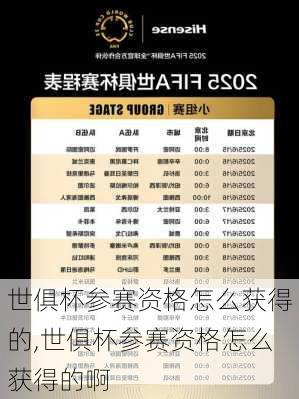世俱杯参赛资格怎么获得的,世俱杯参赛资格怎么获得的啊