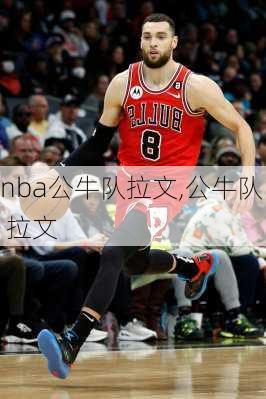 nba公牛队拉文,公牛队 拉文