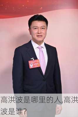 高洪波是哪里的人,高洪波是谁?