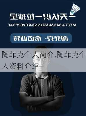 陶菲克个人简介,陶菲克个人资料介绍