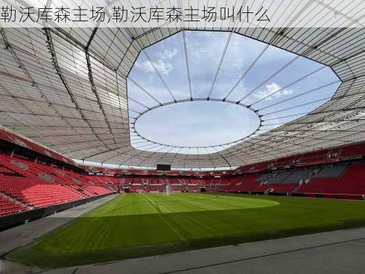 勒沃库森主场,勒沃库森主场叫什么