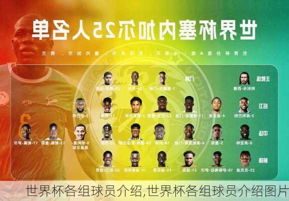 世界杯各组球员介绍,世界杯各组球员介绍图片