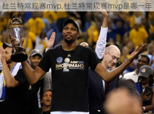 杜兰特常规赛mvp,杜兰特常规赛mvp是哪一年
