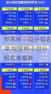世界杯小组分组名单,世界杯小组分组名单最新