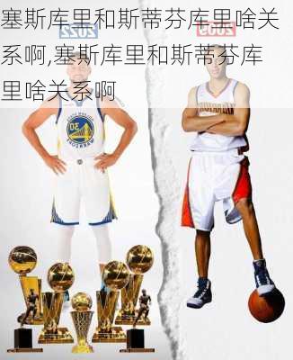 塞斯库里和斯蒂芬库里啥关系啊,塞斯库里和斯蒂芬库里啥关系啊