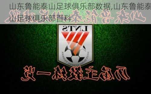 山东鲁能泰山足球俱乐部数据,山东鲁能泰山足球俱乐部百科