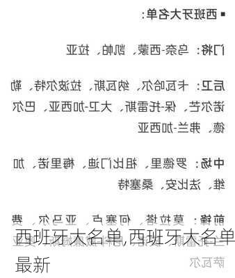 西班牙大名单,西班牙大名单最新